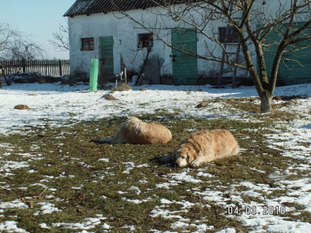 a w domku odpoczniemy sobie na trawce