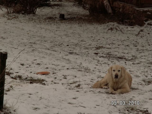 a Corsa woli środek podwórza bo wszędzie jest blisko