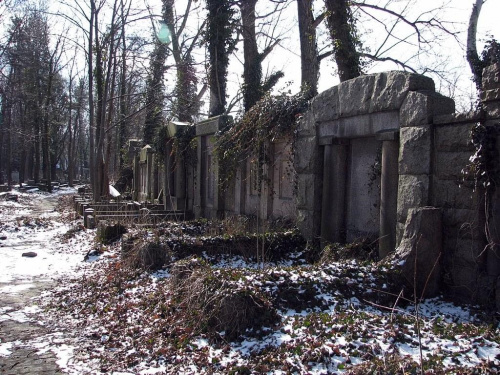 stary cmentarz Żydowski przy ul. Lotniczej, Im dalej się idzie tym bardziej zaniedbany.