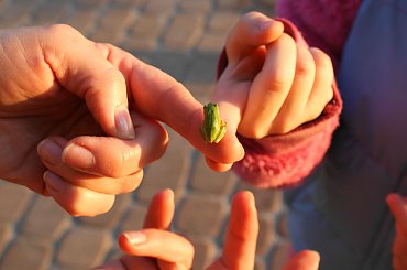 #dziwne #rzeczy #strange #world