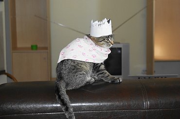 #dziwne #rzeczy #strange #world