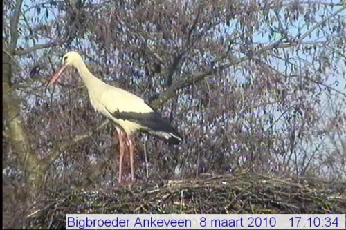 Ankeveen/nl