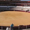 Arena w Maladze