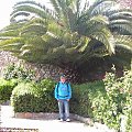 Malaga - Alcazaba