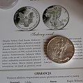 Moneta Srebrny Orzeł USA 2010