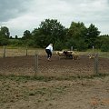 Diabelskie Rozdroże,sheltie.BAŚNIOWA SILJE,owczarek szetlandzki i owce.