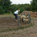 Diabelskie Rozdroże,sheltie.BAŚNIOWA SILJE