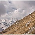 Tatry