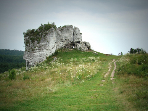Skały Mirowskie otaczające zamek.
