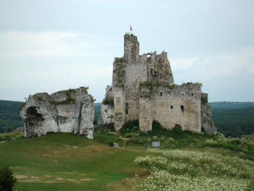 Ruiny zamku w Mirowie na szlaku Orlich Gniazd. #Mirów