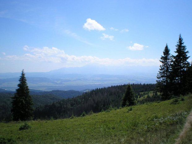 Tatry z Hali Młyńskiej #beskidy #gorce #góry #turbacz