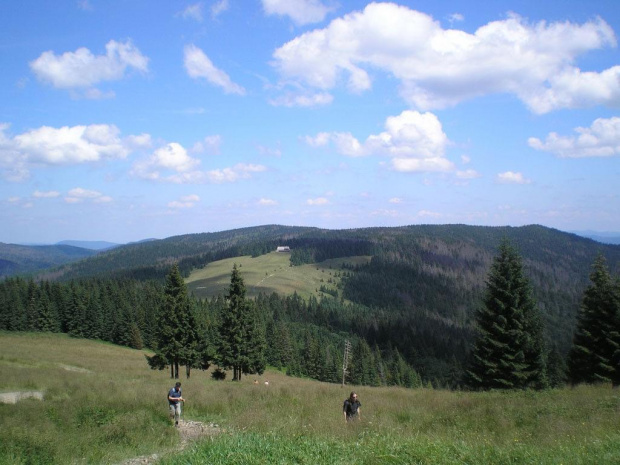 Hala Długa, Kiczora i Jaworzyna Kamienicka spod schroniska na Turbaczu #beskidy #gorce #góry #turbacz