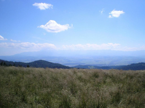 Tatry Wysokie z Hali Długiej #beskidy #gorce #góry #turbacz