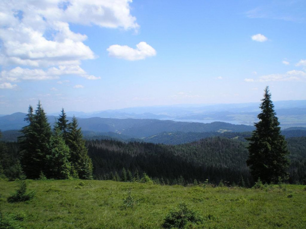 Pieniny i Jezioro Czorsztyńskie z Hali Młyńskiej #beskidy #gorce #góry #turbacz