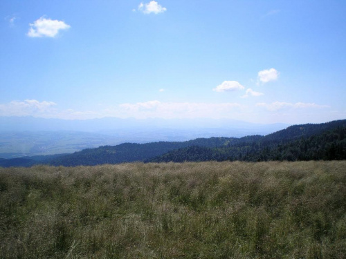 Tatry Zachodnie z Hali Długiej #beskidy #gorce #góry #turbacz