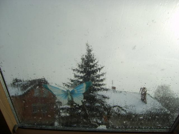 Płacząca śniegiem i deszczem szyba okienna nad moim biurkiem...