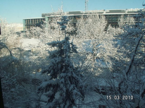 Obudziła mnie z rana