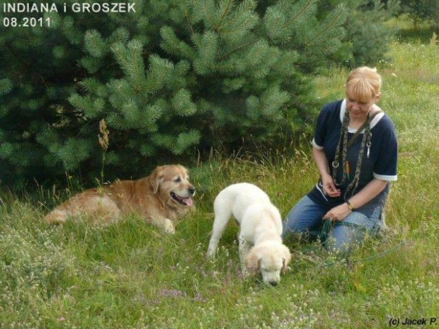 Sierpniowe łąki