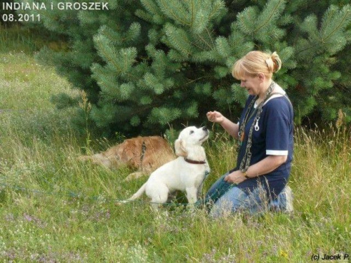 Sierpniowe łąki