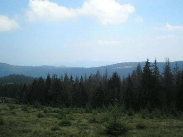 Lubań z polany Gorc Porębski #góry #beskidy #gorce #kudłoń