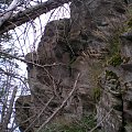 Jedna z licznych wychodni skalnych na północnych stokach Kudłonia #góry #beskidy #gorce #kudłoń