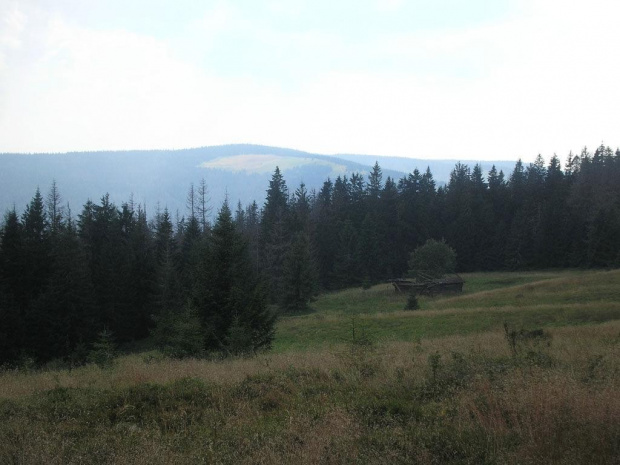 Jaworzyna Kamienicka z polany Gorc Troszacki #góry #beskidy #gorce #kudłoń