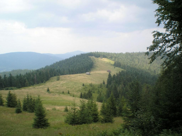 Polana Podskały w Gorcach #góry #beskidy #gorce #kudłoń