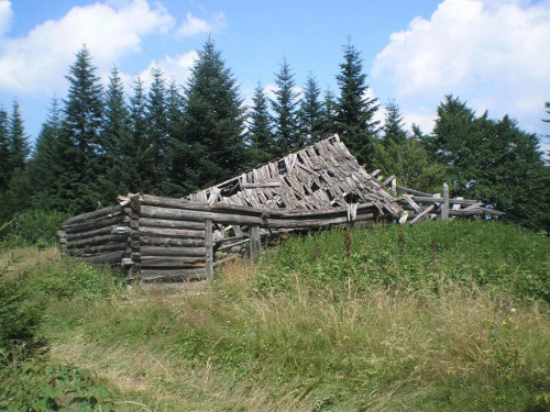 Ruiny szałasu na polanie Kosarzysko w Gorcach #góry #beskidy #gorce #kudłoń