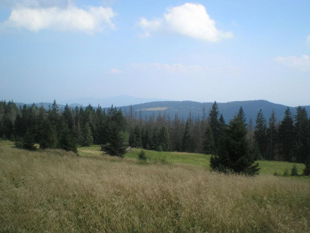 Przysłop i polana Bieniowe oraz Lubań z plany Gorc Troszacki #góry #beskidy #gorce #kudłoń