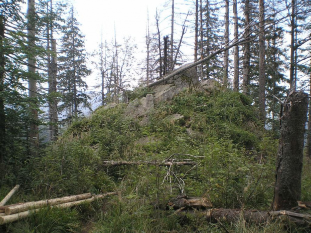 Jedna z licznych wychodni skalnych na północnych stokach Kudłonia #góry #beskidy #gorce #kudłoń
