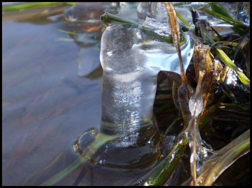 Lodowe inspiracje nad Obrą :)