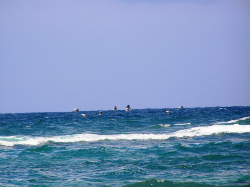Surman - boćki dotarły do Afryki (wrzesień 2009)