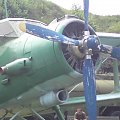 an-2