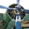 an-2