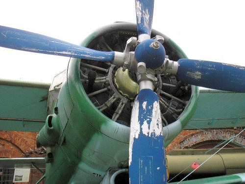 an-2