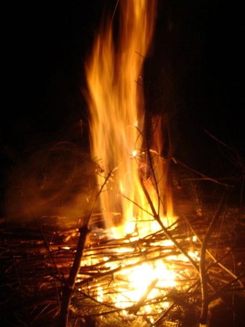 zaczynają się porządki wiosenne .....to dzisiejsze ognicho i bynajmniej na razie nie dla przyjemności ...... :)))) ...ale właściwie było mi przyjemnie choć kręgosłup pobolewa :)))))) #ognisko