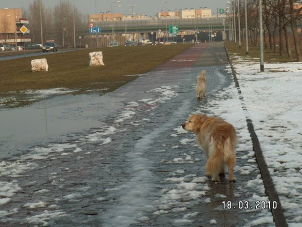 ale to mi się nie podoba