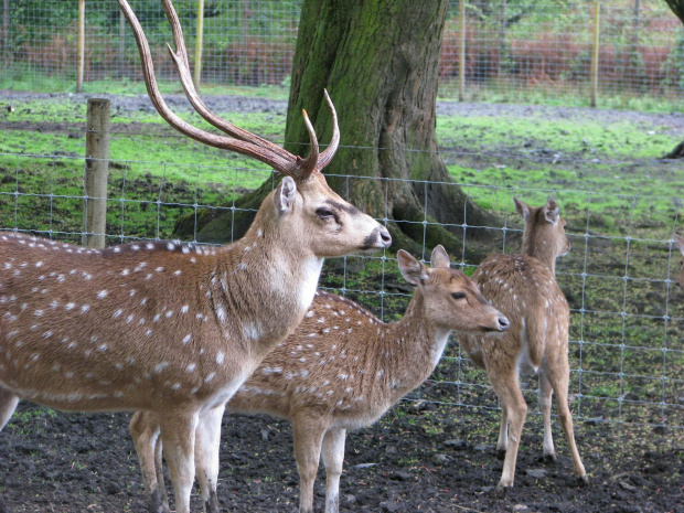 #przyroda #zwierzęta #park #natura #safari