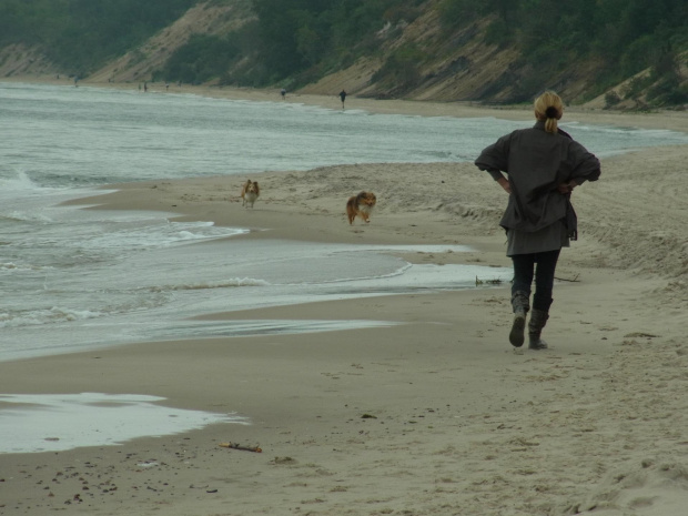 Diabelskie Rozdroże,sheltie.BAŚNIOWA SILJE