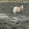 ciekawe jak będzie wyglądała kiedy stąd wyjdzie