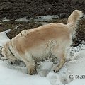 chociaż brzusio juz nie wygląda tak ślicznie