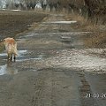 na tej podusi się wylegiwała w poprzednim poście