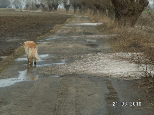 na tej podusi się wylegiwała w poprzednim poście