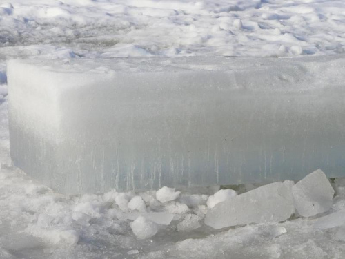 Grubość lodu 25 cm, Dębina. #zima