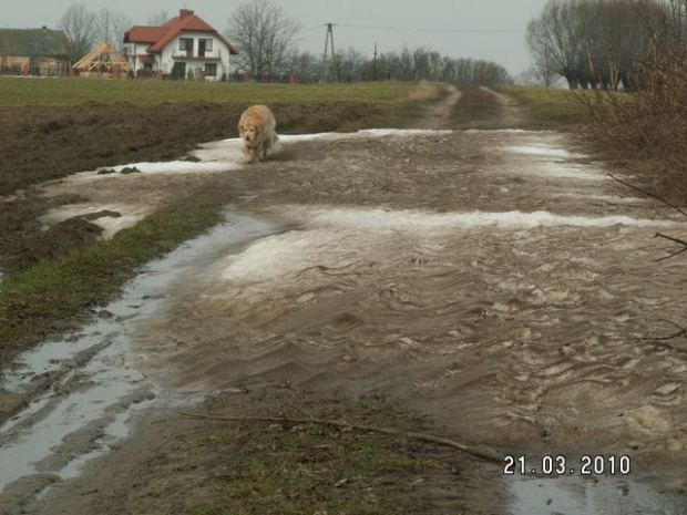 To było kiedyś białe