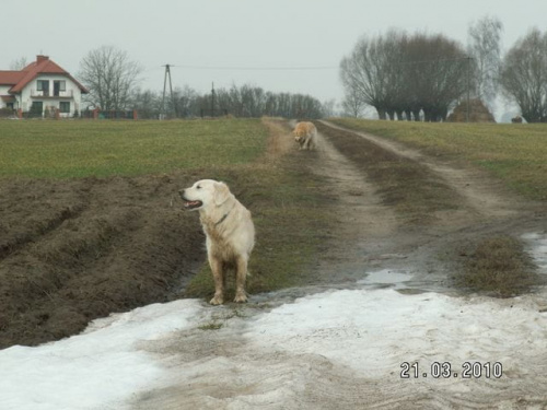 I już wracamy