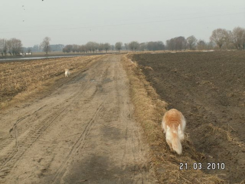 Ale jak poczekam z 15 minut rozglądając się dookoła dla niepoznaki to i Lady mnie wyprzedzi