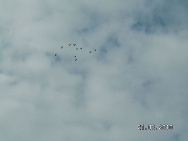 Co za bałagan :?: skąd wiedzą, że są w Polsce :?: