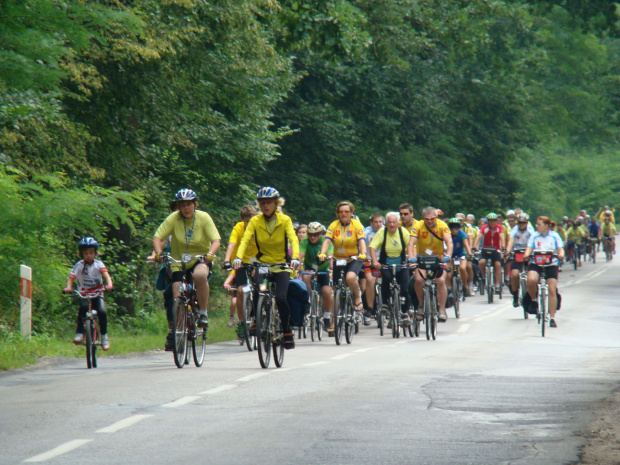 Golejowski las wypełniony cyklistami #PttkStaszów