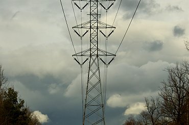 z wiosennego spaceru po lesie #las #niebo #słup